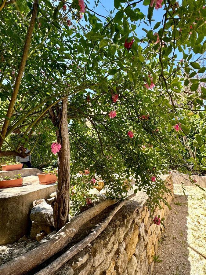 Clos De La Noria Pont-Saint-Esprit Exterior foto